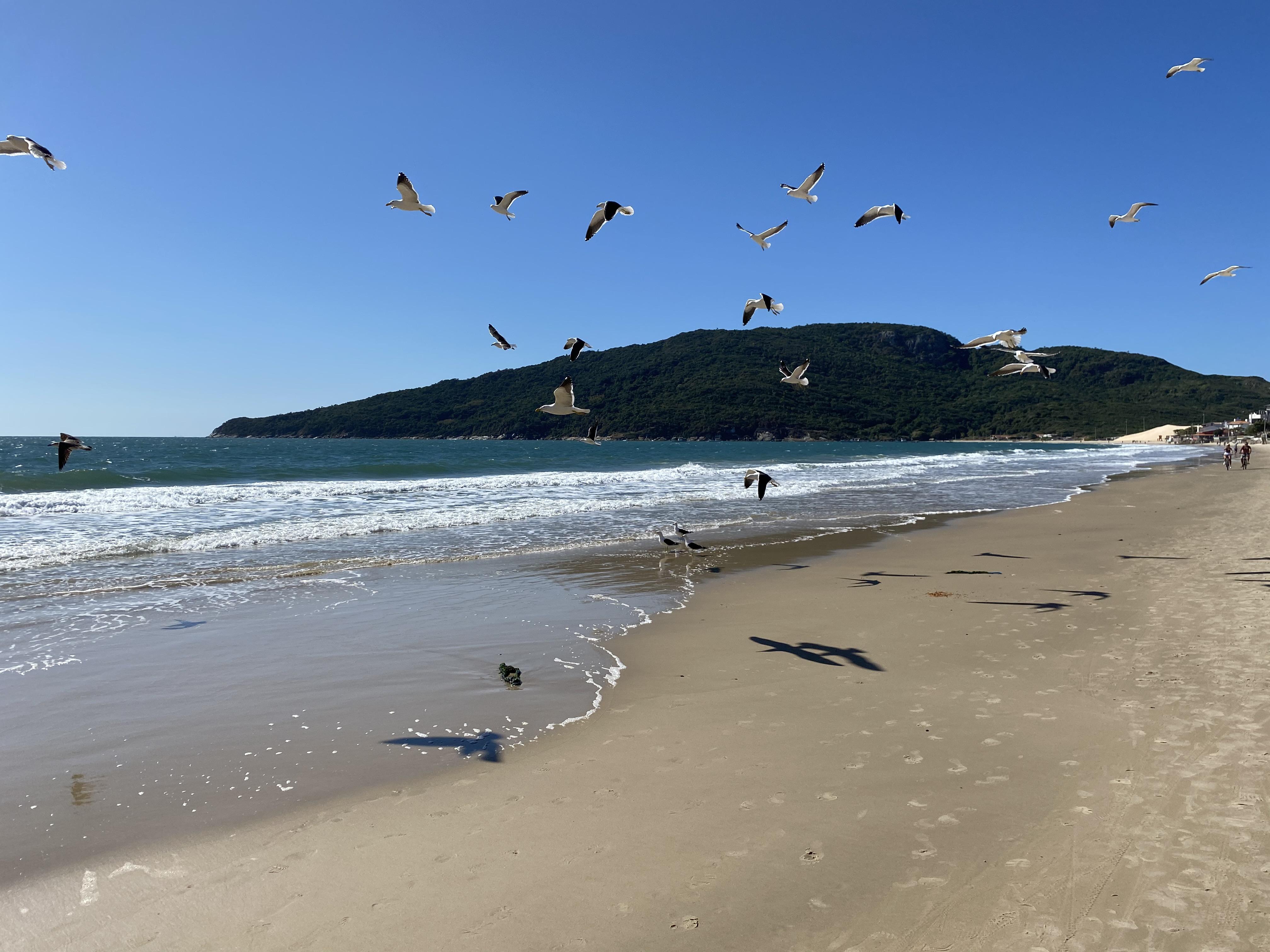 Hotel & Pousada Favareto Florianópolis 外观 照片
